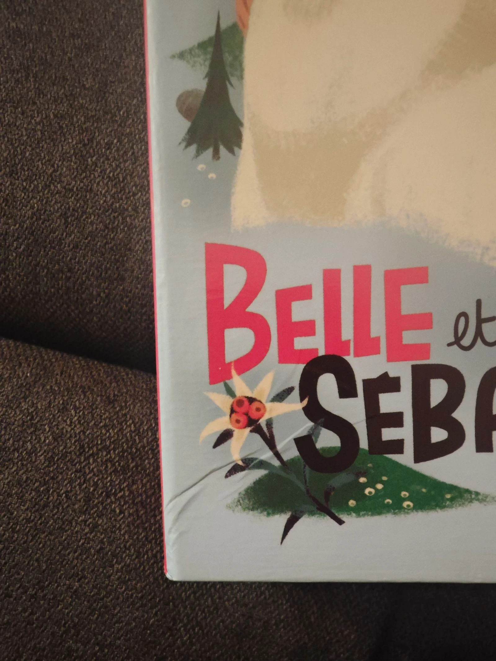 Coffret Belle et Sébastien – photo 2
